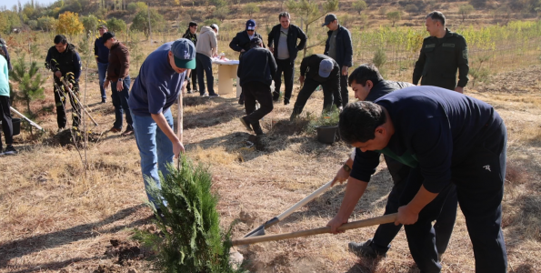 Снимок экрана 2025-10-13 090209.png