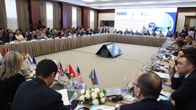 Plenary Session of the International Conference: Exchange of Ideas and Priorities for Cooperation