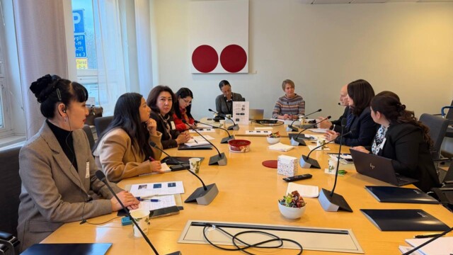 Studying the experience of Sweden: working visit of the interdepartmental delegation on the protection of children's rights