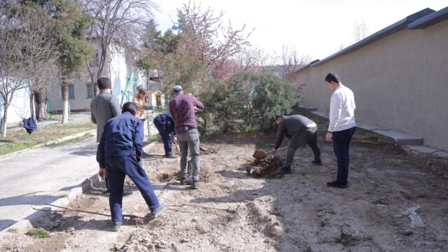 Environmental responsibility - an integral part of the Academy's culture