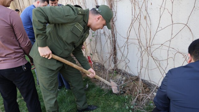 Systematic efforts within the framework of the “Green Space” nationwide project at the Academy