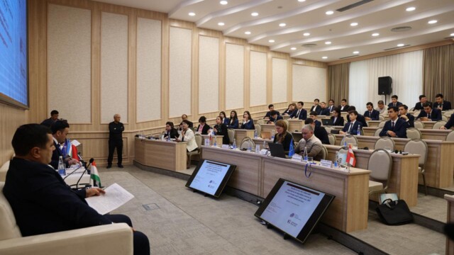 Global Mobility, Digital Environment and Human Rights: Expert Discussion at the Academy