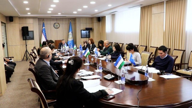 Holding a joint seminar with UNICEF on juvenile justice issues