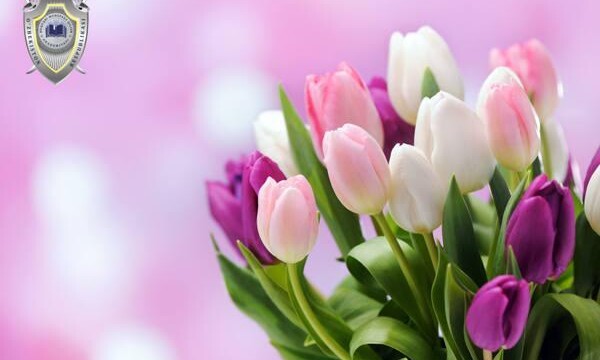 March 8 - International Women's Day