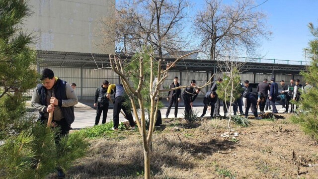 Проведена акция по посадке деревьев членами кружка «Юные экологи»