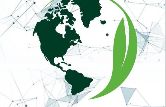 Global SDG action and awareness week to be held at the Academy