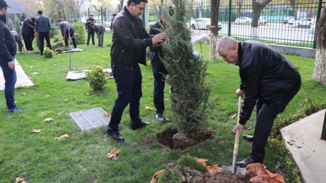 Работа в рамках реализации общенационального проекта «Яшил макон»