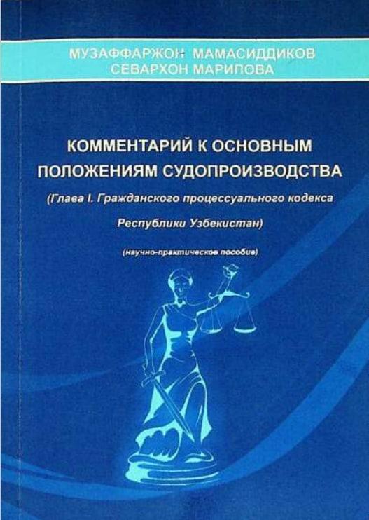 Комментарий к основным положениям судопроизводства
